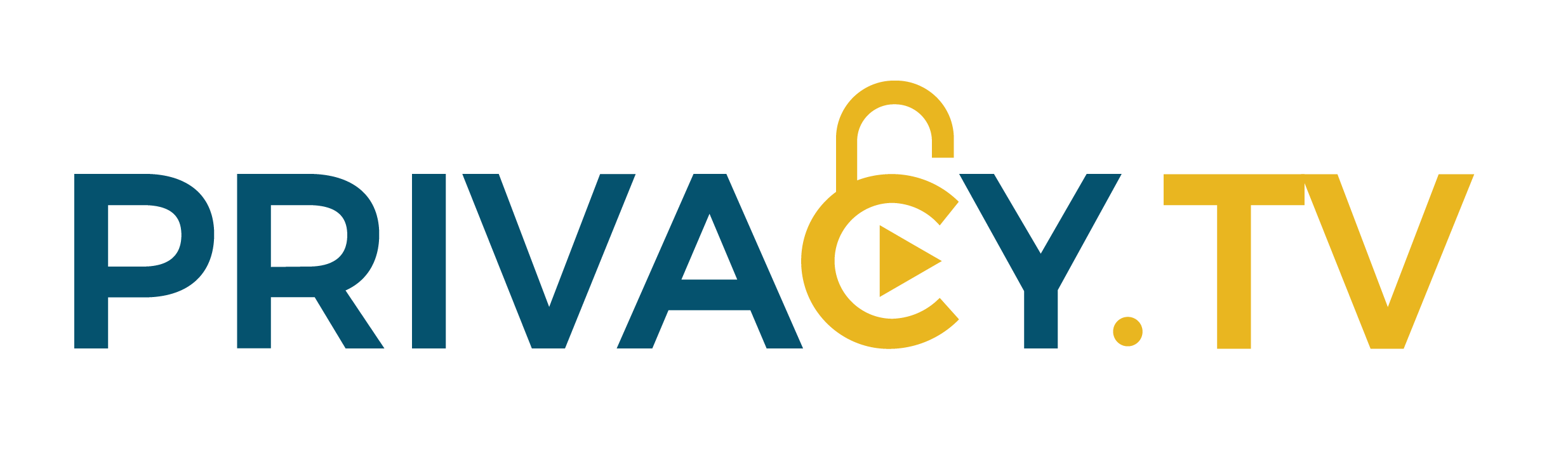 Privacy TV Logo